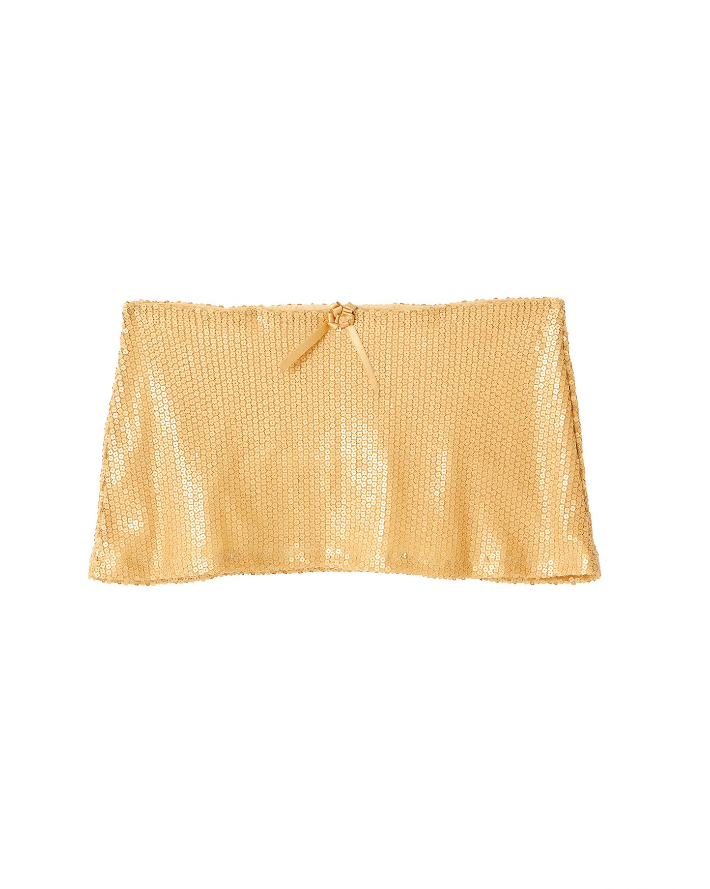 Shiny Skirt
